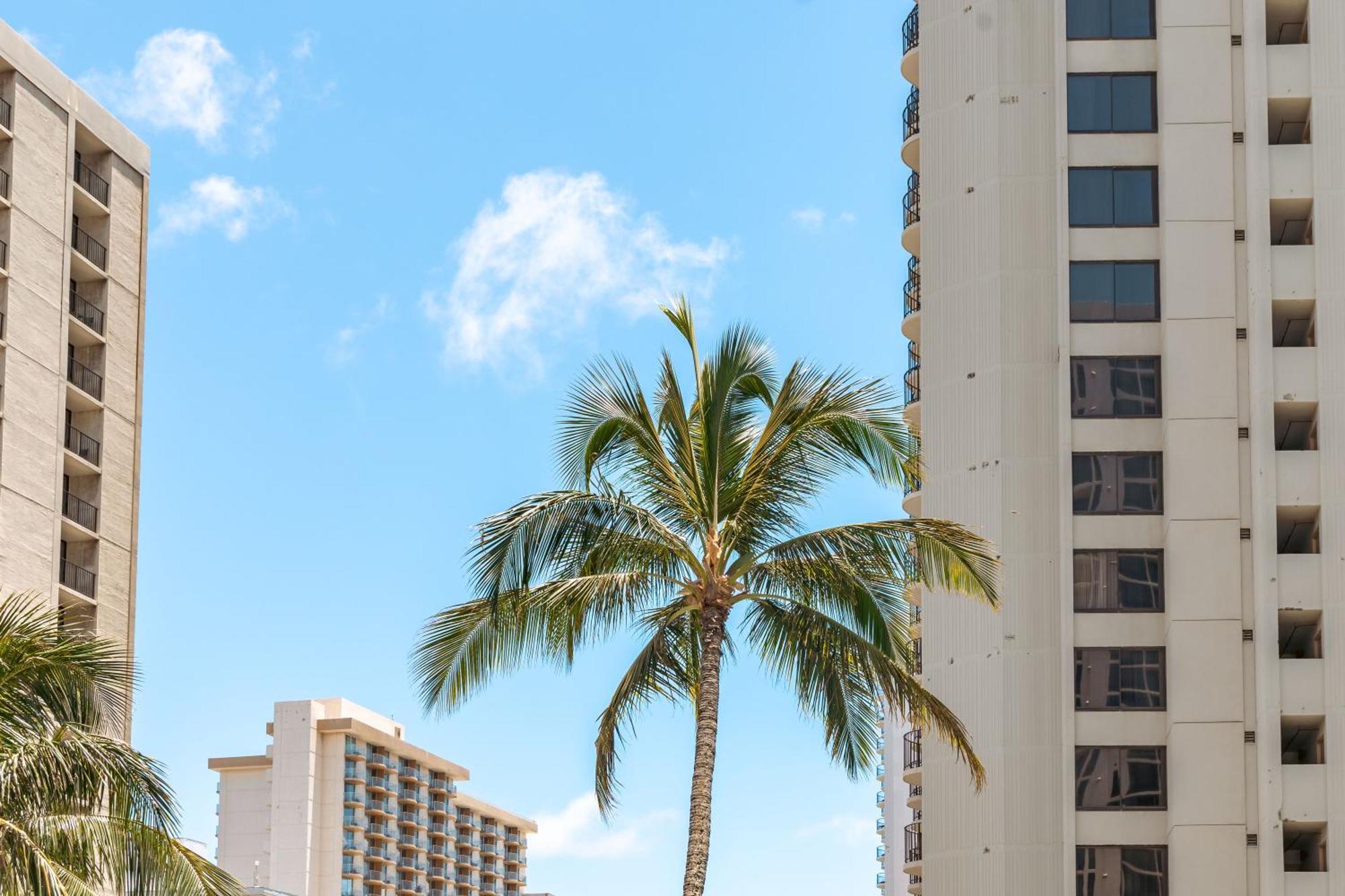 Upscale Penthouse With Ocean Views - Free Parking Appartement Honolulu Buitenkant foto